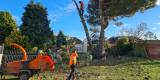 WildTreeCare_58