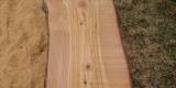 WildTreecare_45